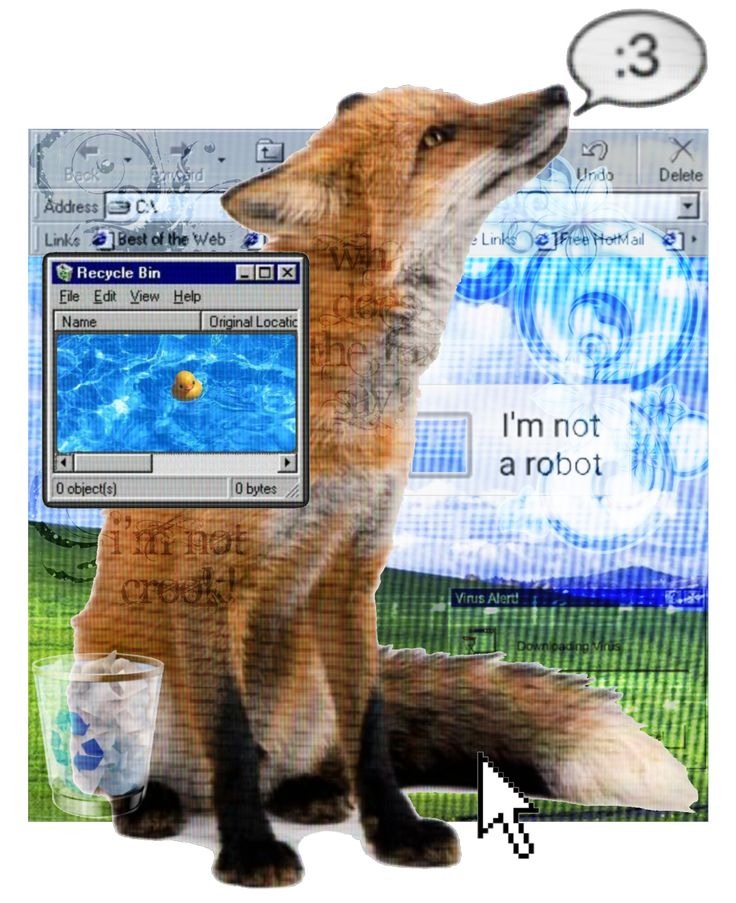 A fox!